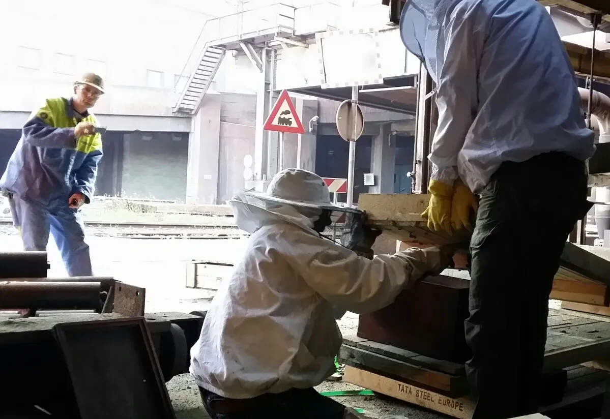 bijen 15