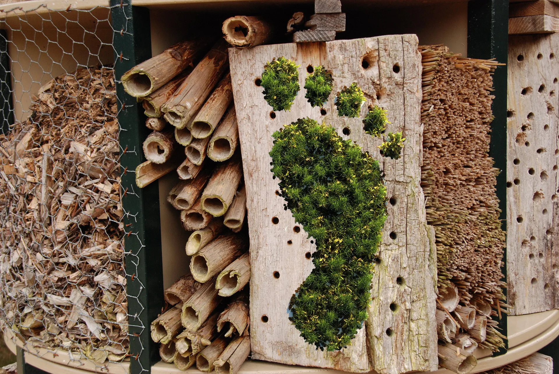 bijenhotel voetafdruk pixabay