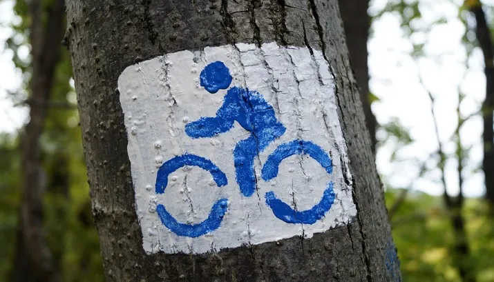 bike 966771 1920 banner