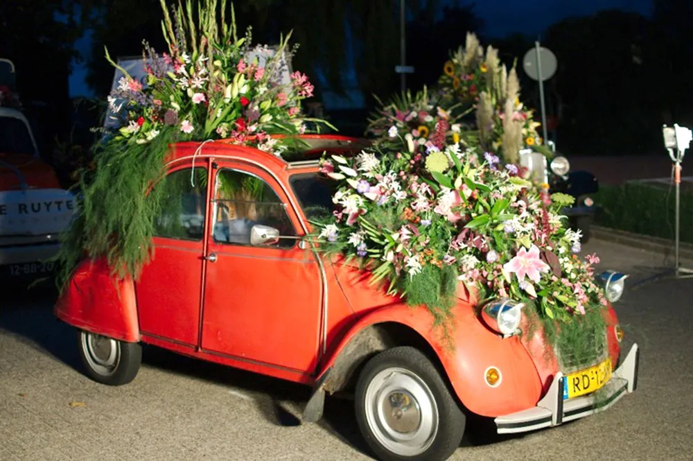 bloemencorso eend