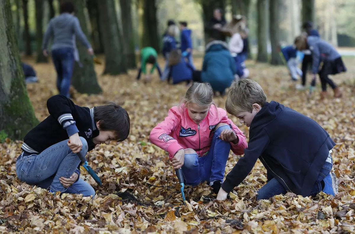 bollen planten beeckestijn 5 natuurmonumenten small