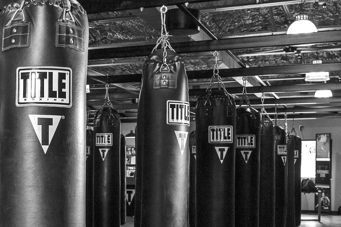 boxer 1923694 1920