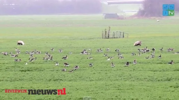 c12gapmuavfpfgrdxskbefy84 2014 12 1721 48 24