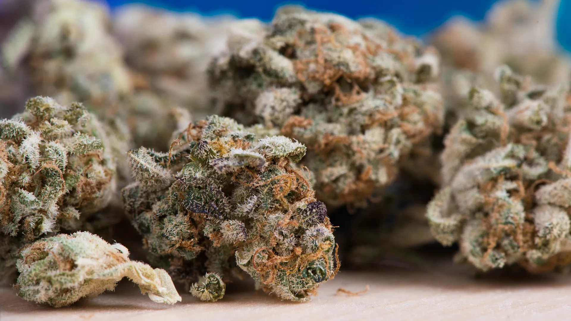 cannabis 2150543 1920 1 pixabay