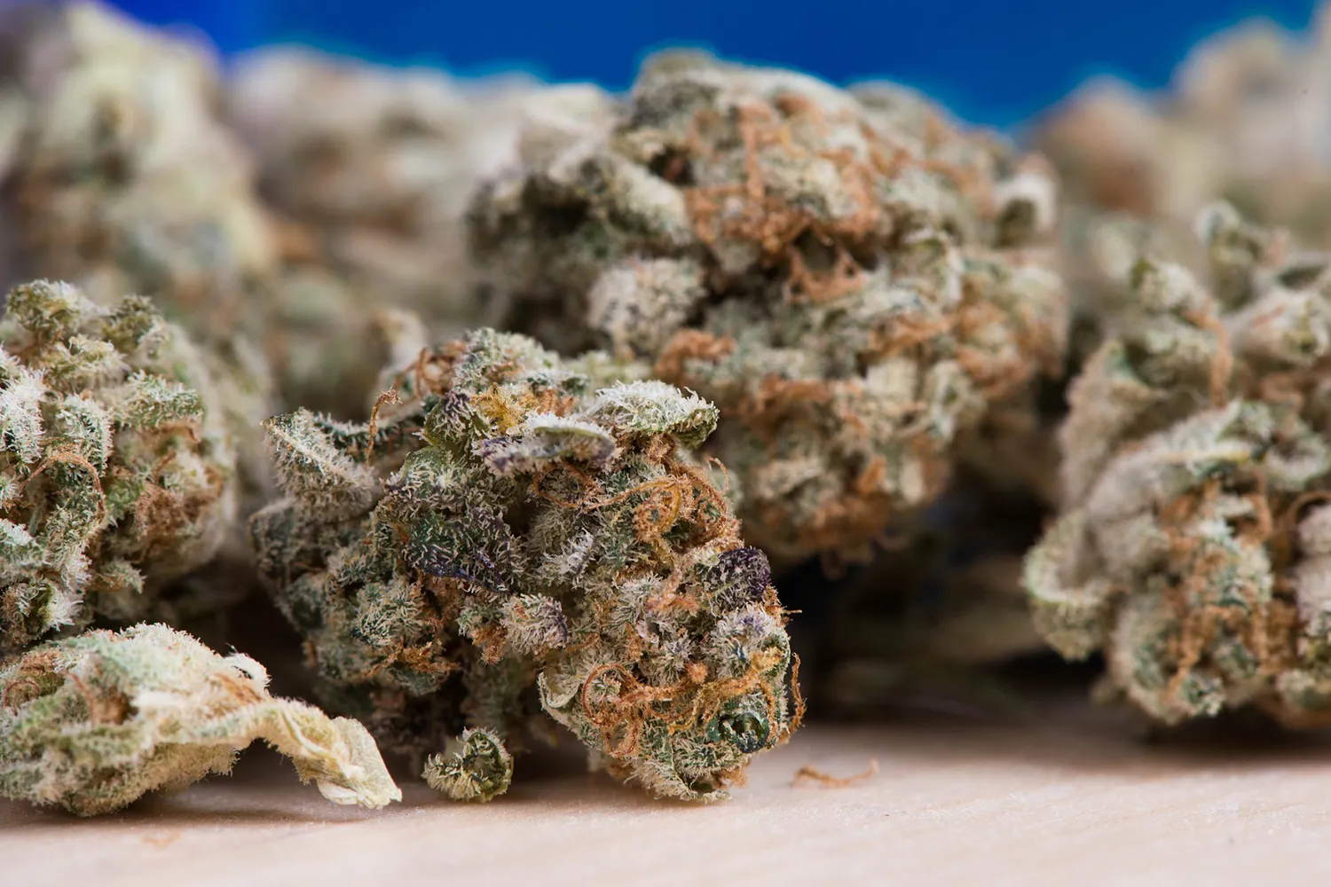 cannabis 2150543 1920