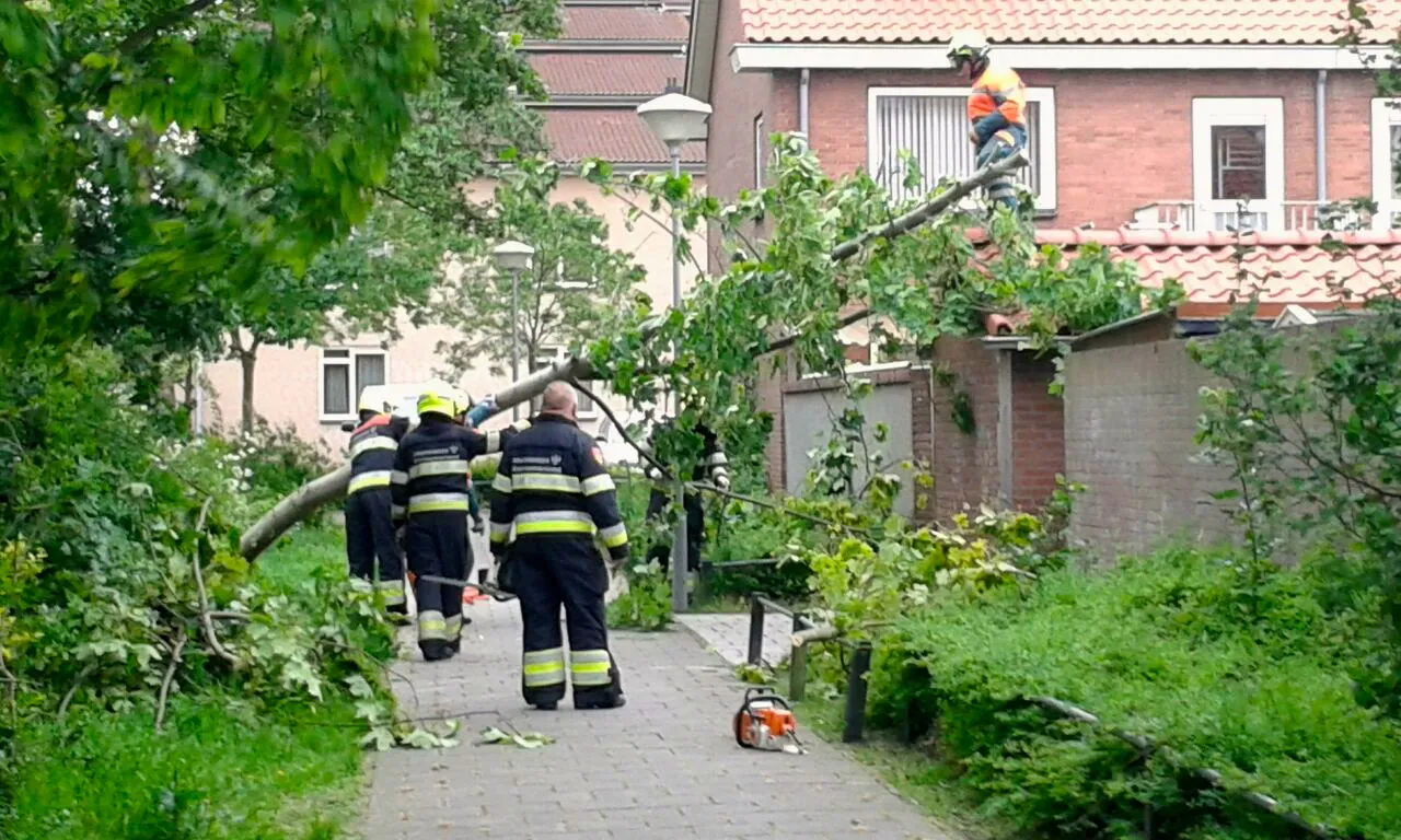 f1eafba6d3d9beb09814e9a5d737501d 2