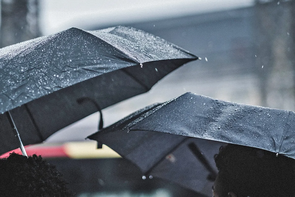 fabio neo amato dnqv4vw kka unsplash