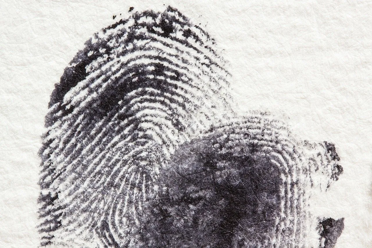fingerprint 255904 1280