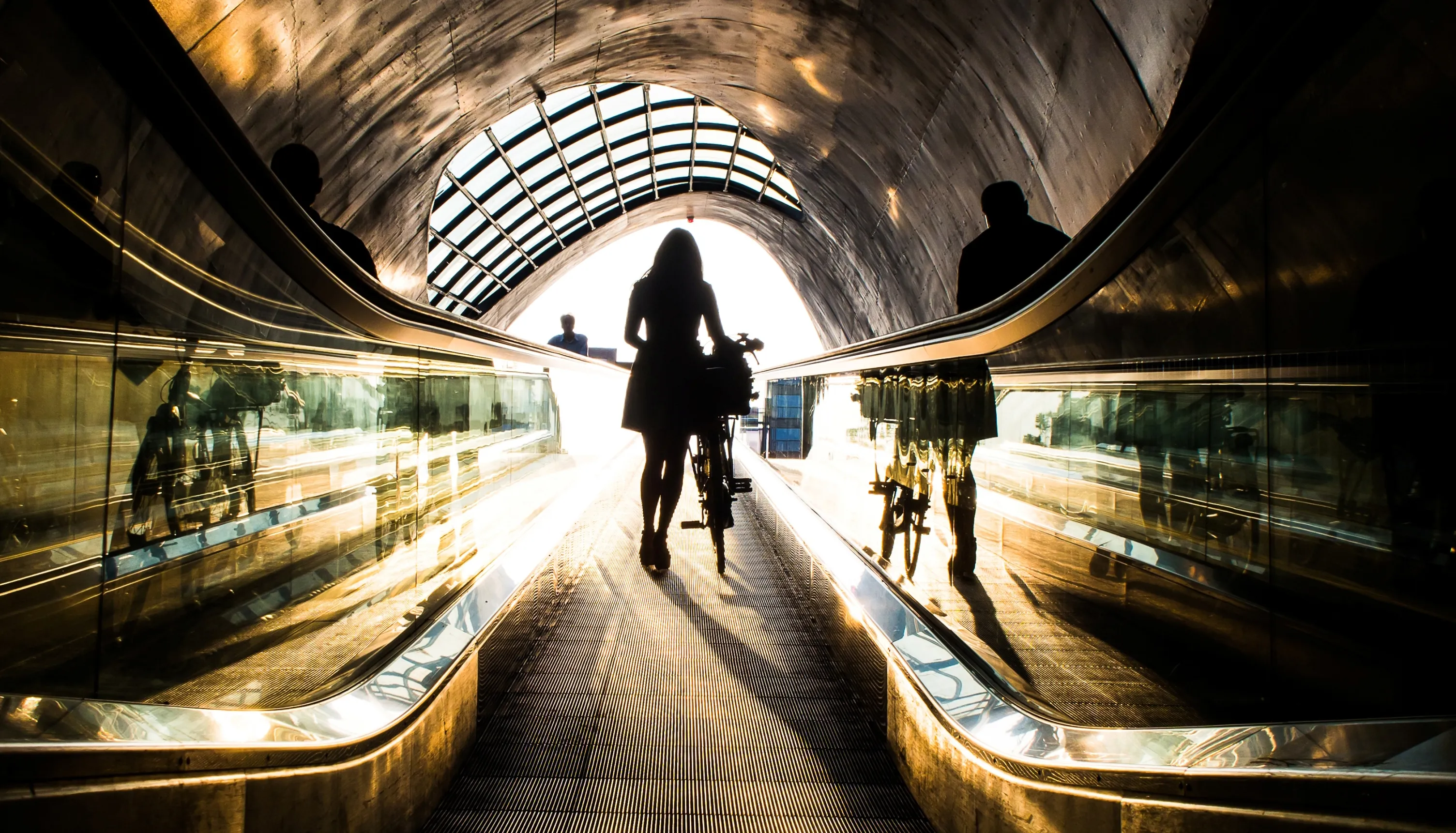 fokko muller golden girl banner