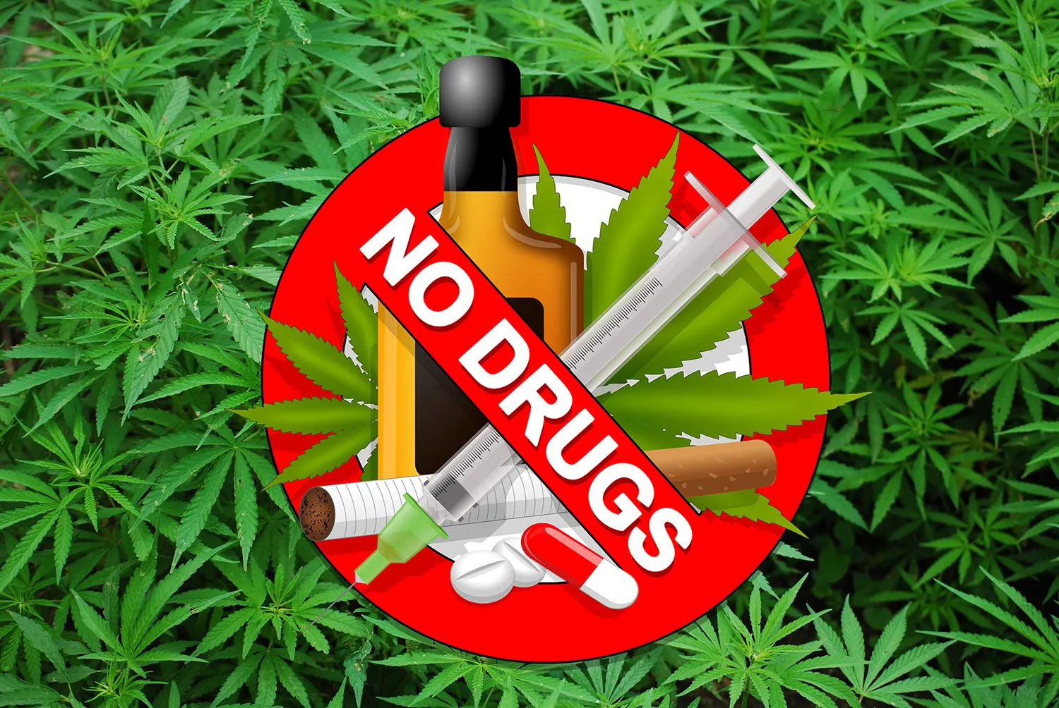 foliage 1157792 1920 drugs pixabay