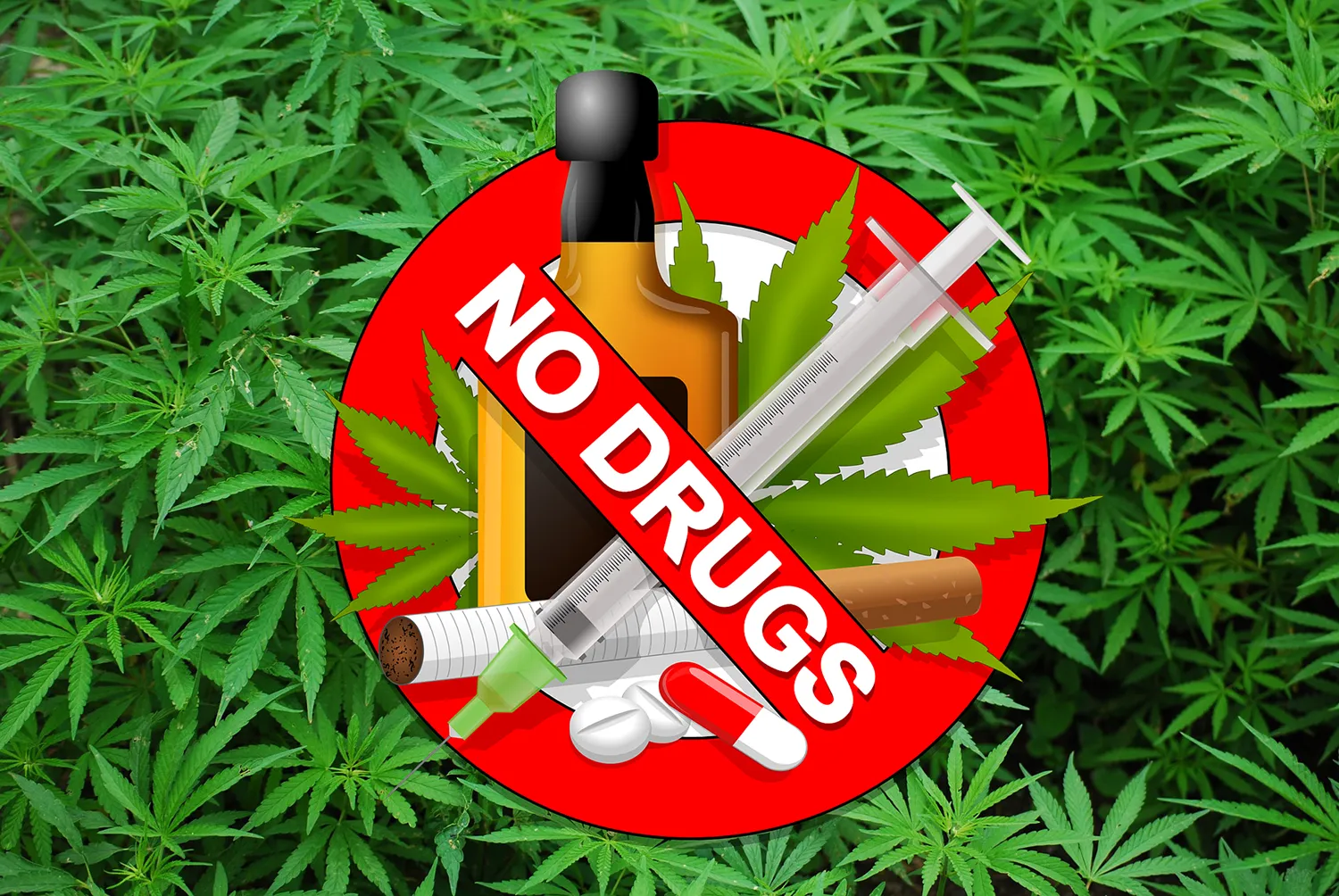 foliage 1157792 1920 drugs pixabay