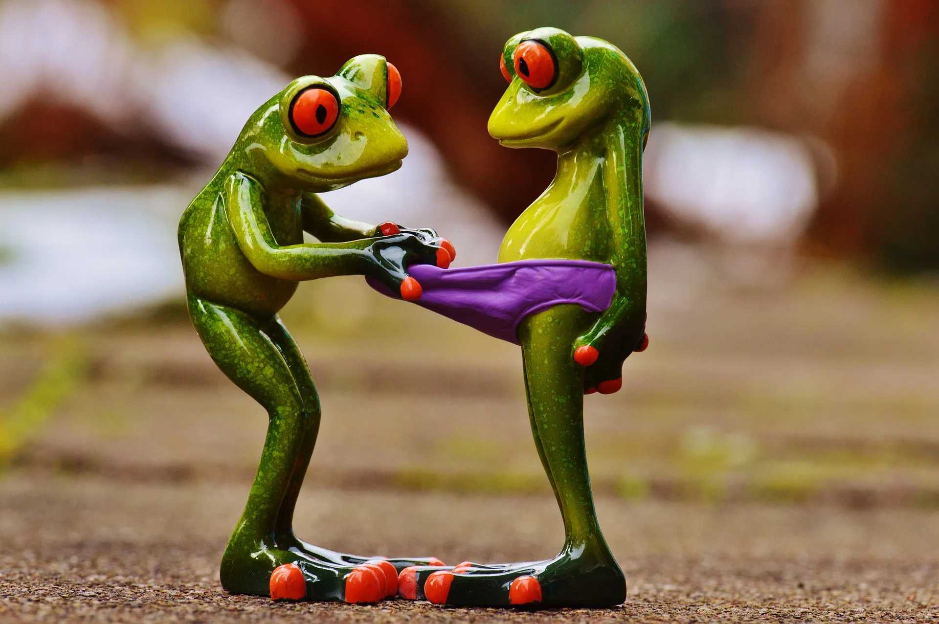 frogs 1158958 1920