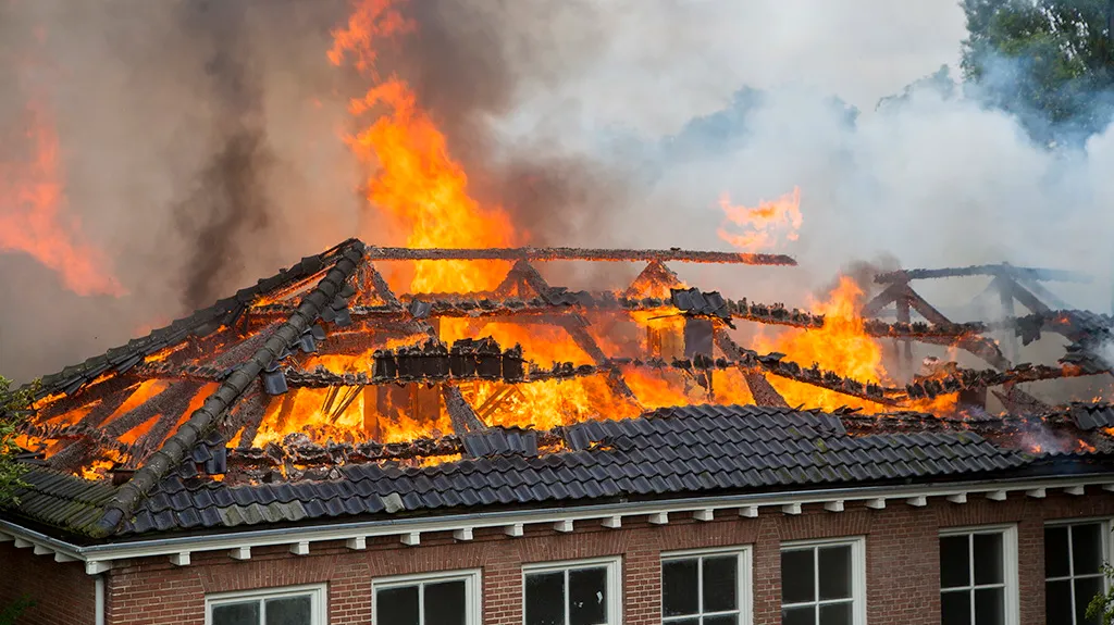 ga6myi8ciyd2js6dqp5j1hzgd zeer grote brand bij de bos en duinschool in bloemendaal