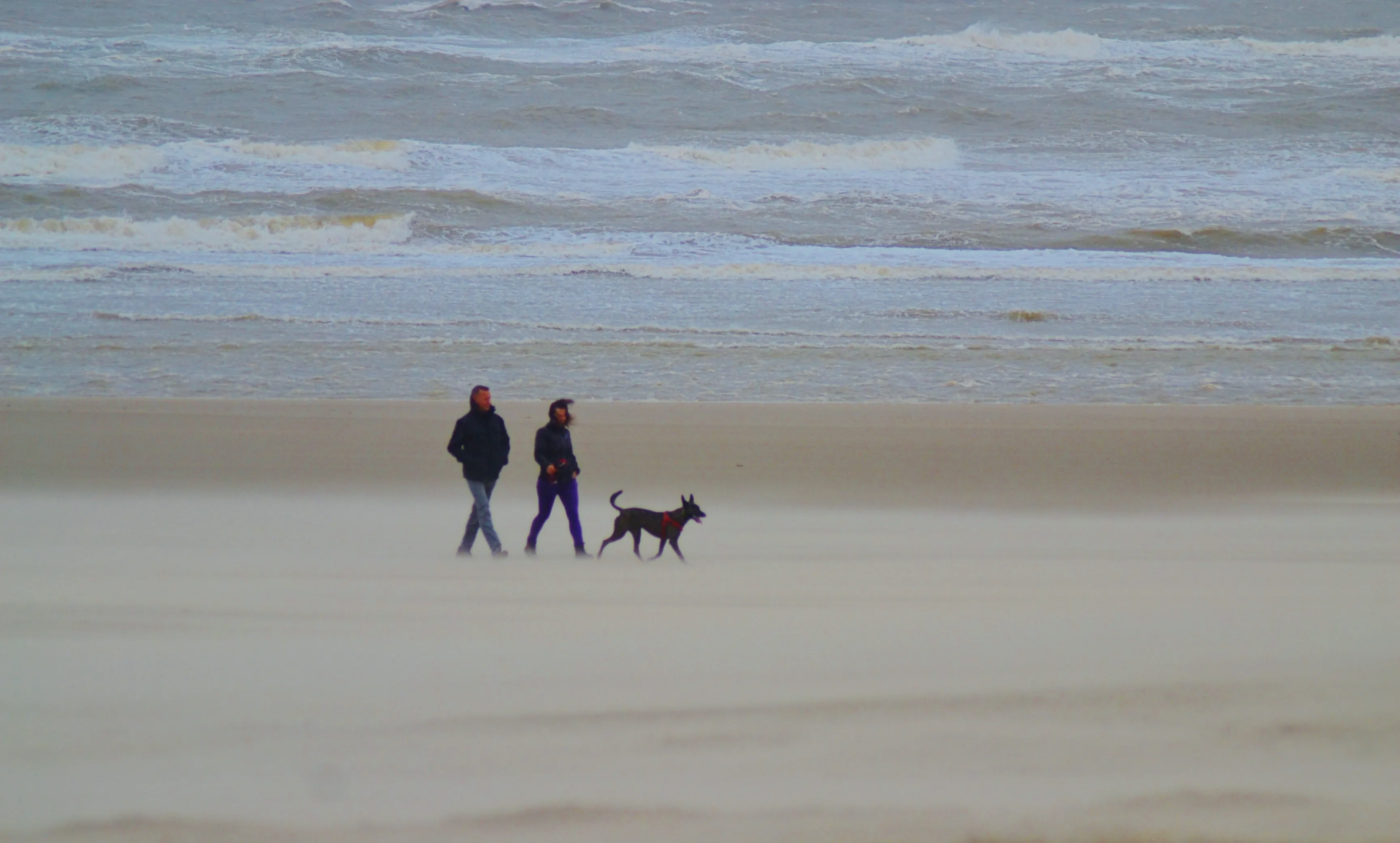 henk2