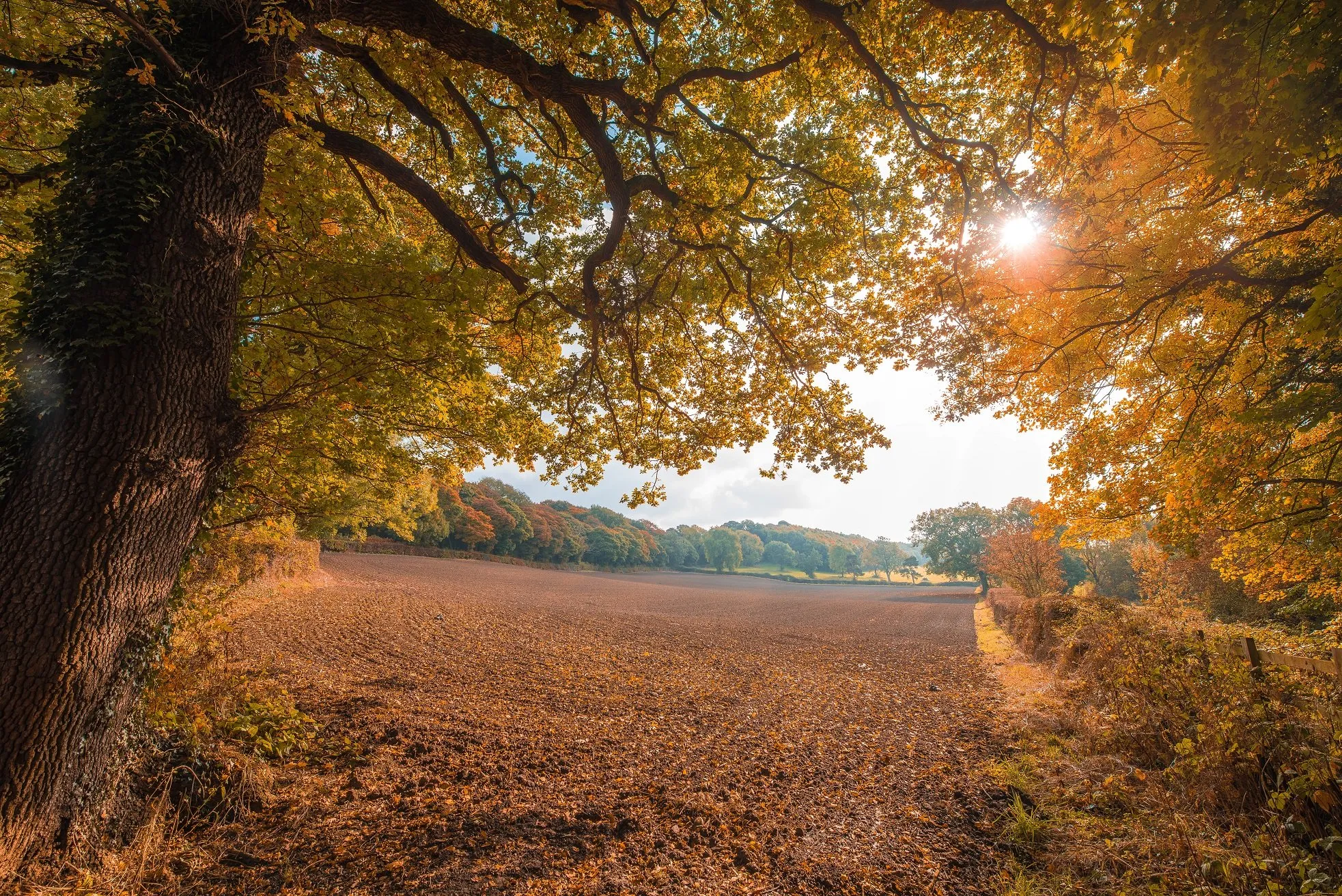 herfstlandschap klein