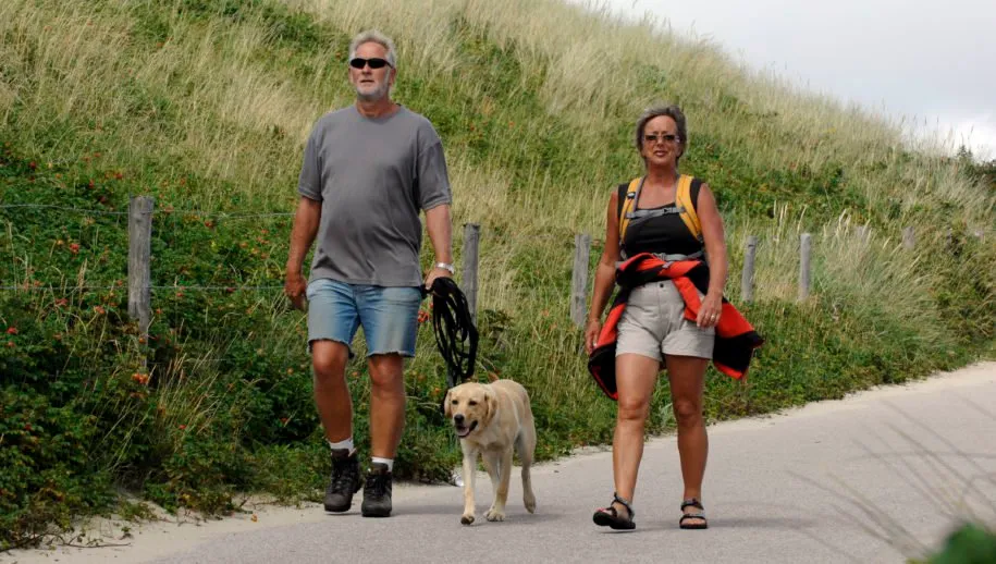 hondenbezitters campagne natuurgebied provincie noord holland 915x518