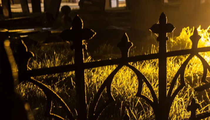 hq graf begraafplaats lijk halloween pavlinajane cc by sa 30 715x408