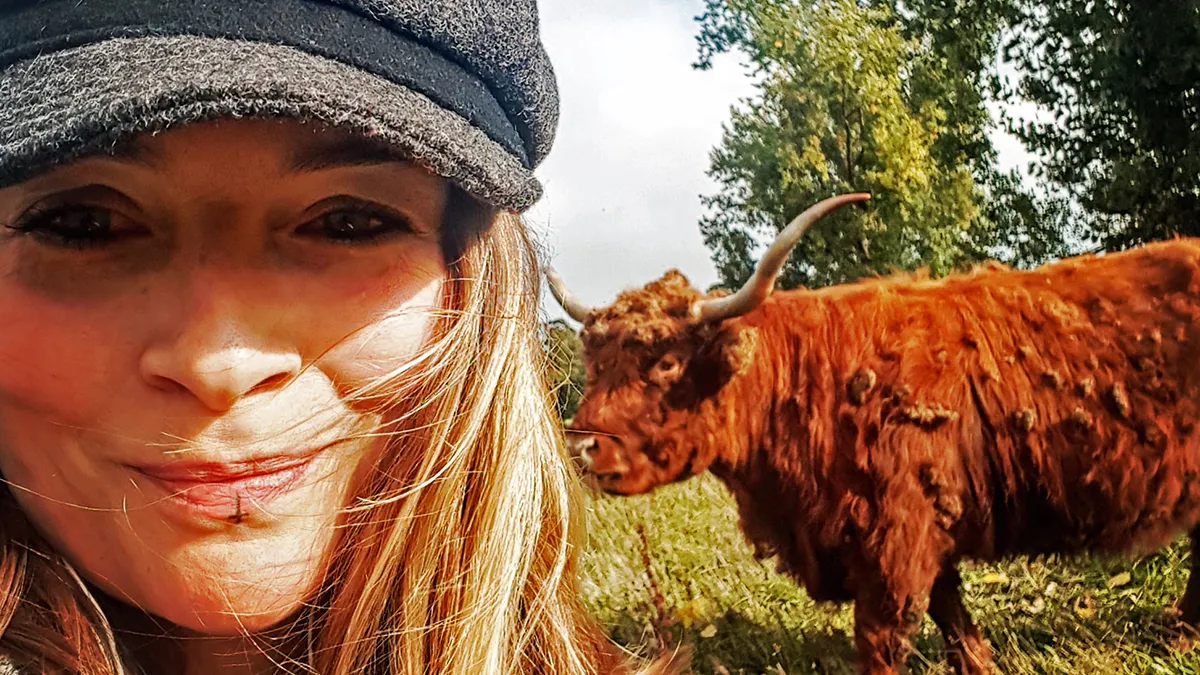 img 20181004 155403 994 cover