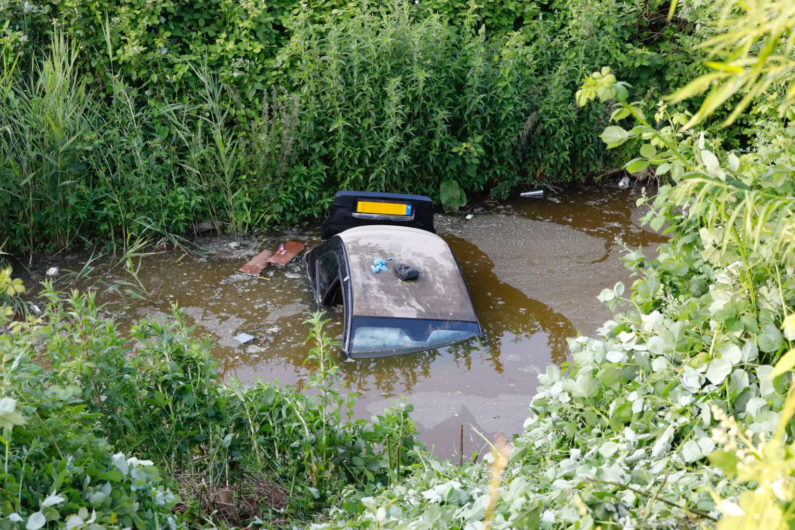 img 20230605 wa0097 kopieren