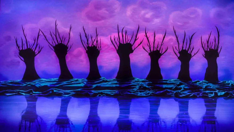 jan vd horn knotwilgjes 2018