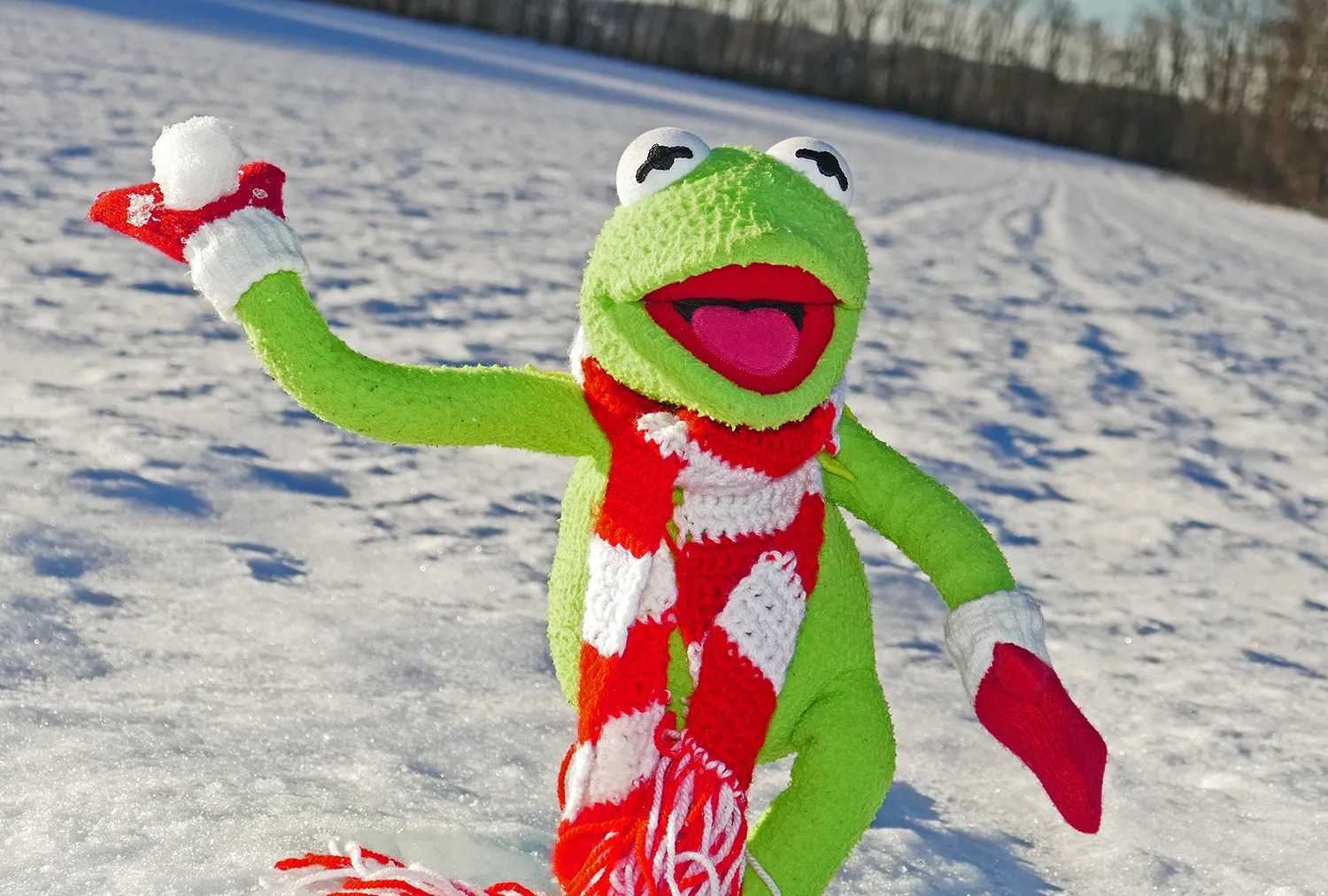 kermit 601711
