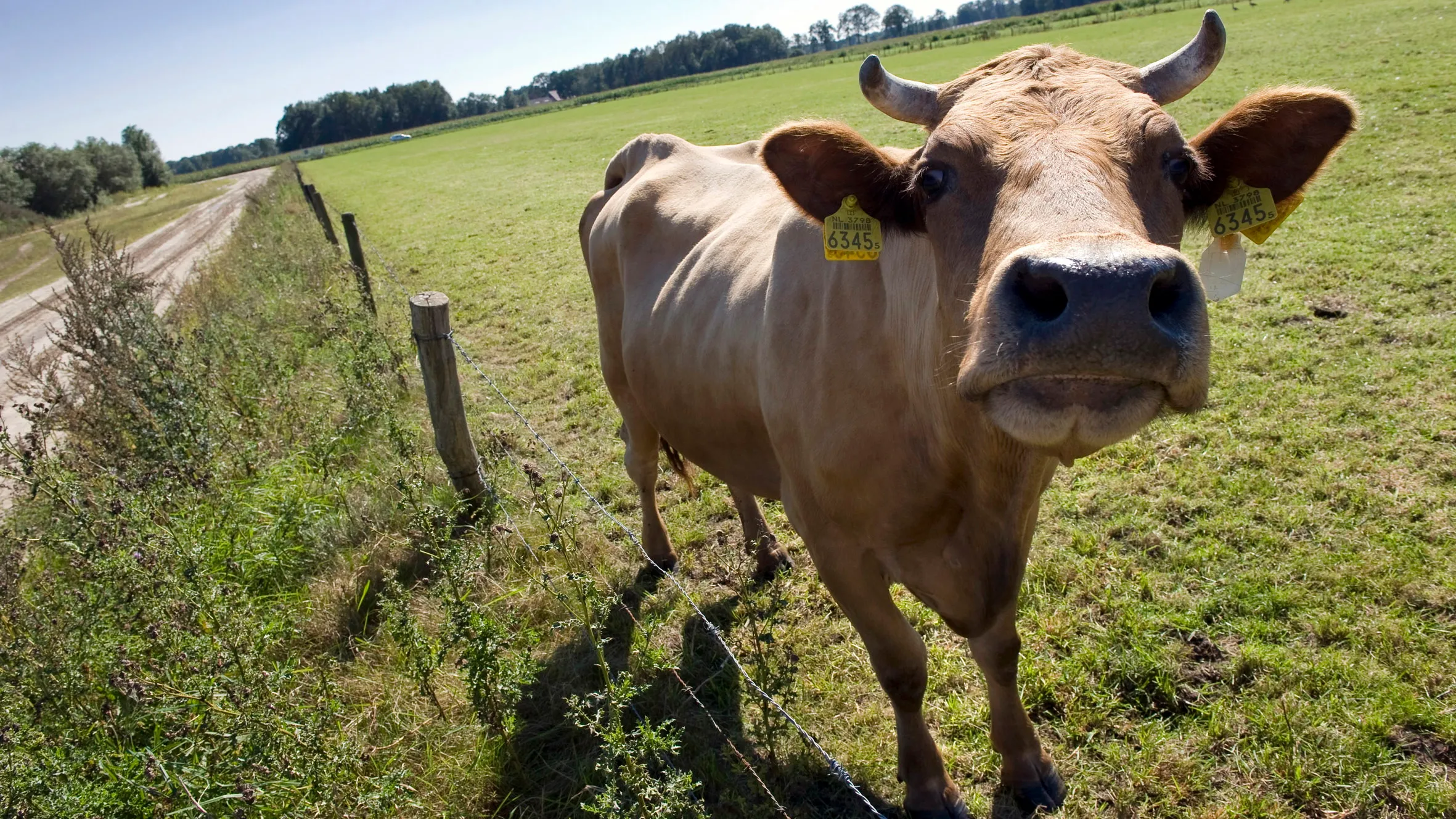 kq57vpdz4pmc3u4jtdid6r6om stier