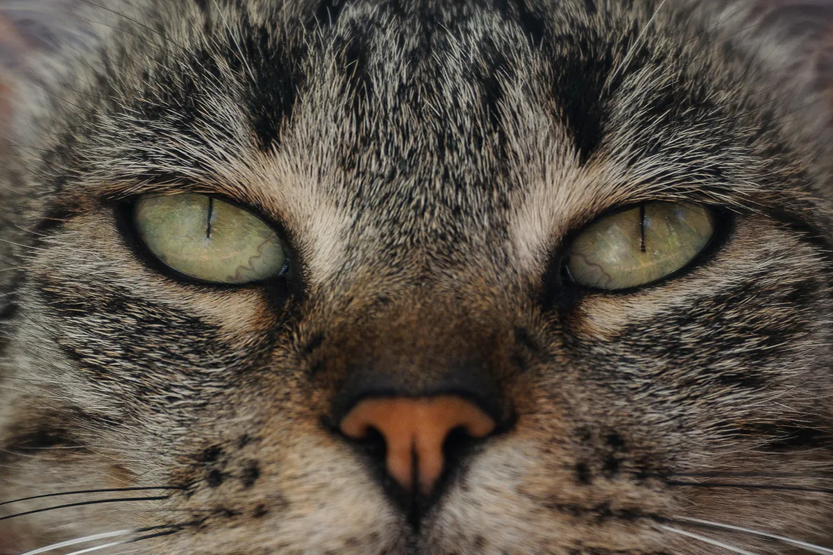 marco biondi jr8pmxlemjq unsplash