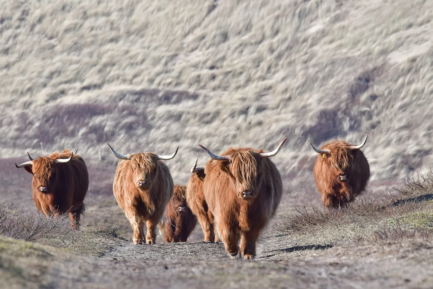 natuurbeleving komt je tegemoet