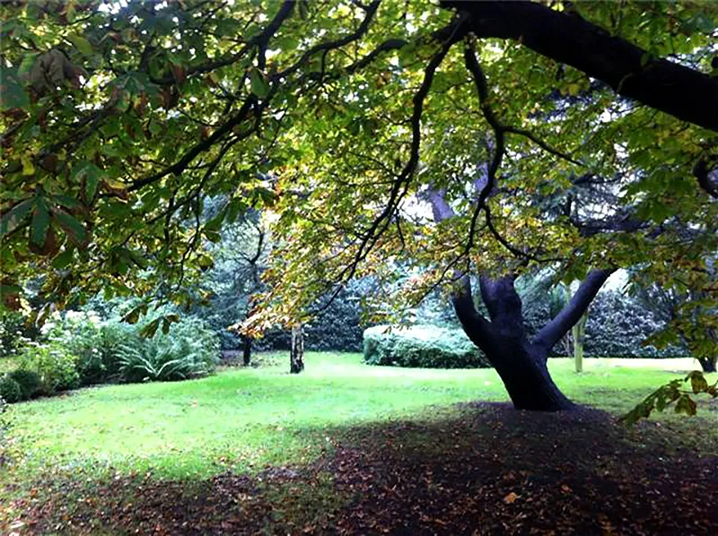 nietomkijkenorpheus 1beverwijk