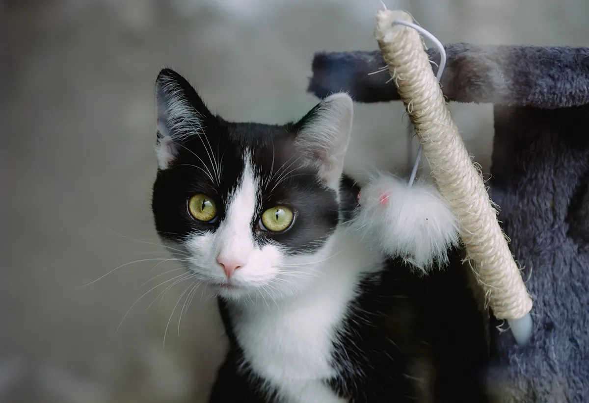 photo 1522526469673 5b73aed892ff unsplash