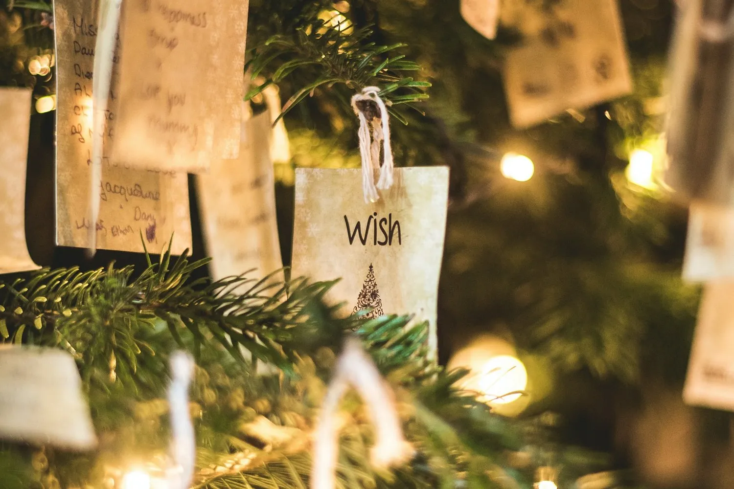 photo 1558018754 1f1b019ece9d valentin petkov