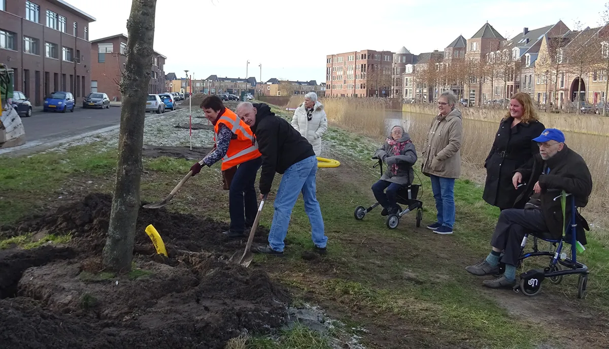 plaatsing 18 bomen stan kentonlaan banner1
