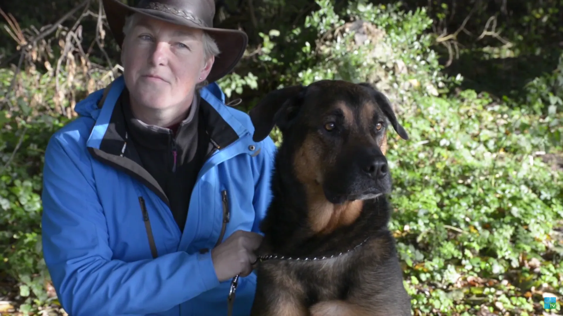 schermafbeelding 2017 01 18 om 135742