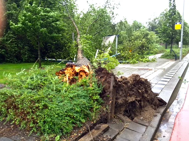 storm1