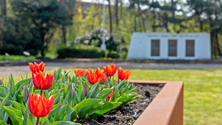 tulpen ho monument 1167 915x518 1