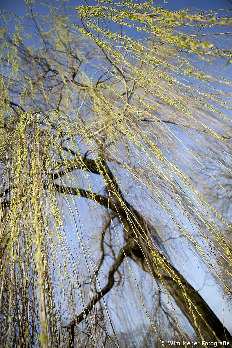 tumblr n29krfyodt1svvyvco1 1280