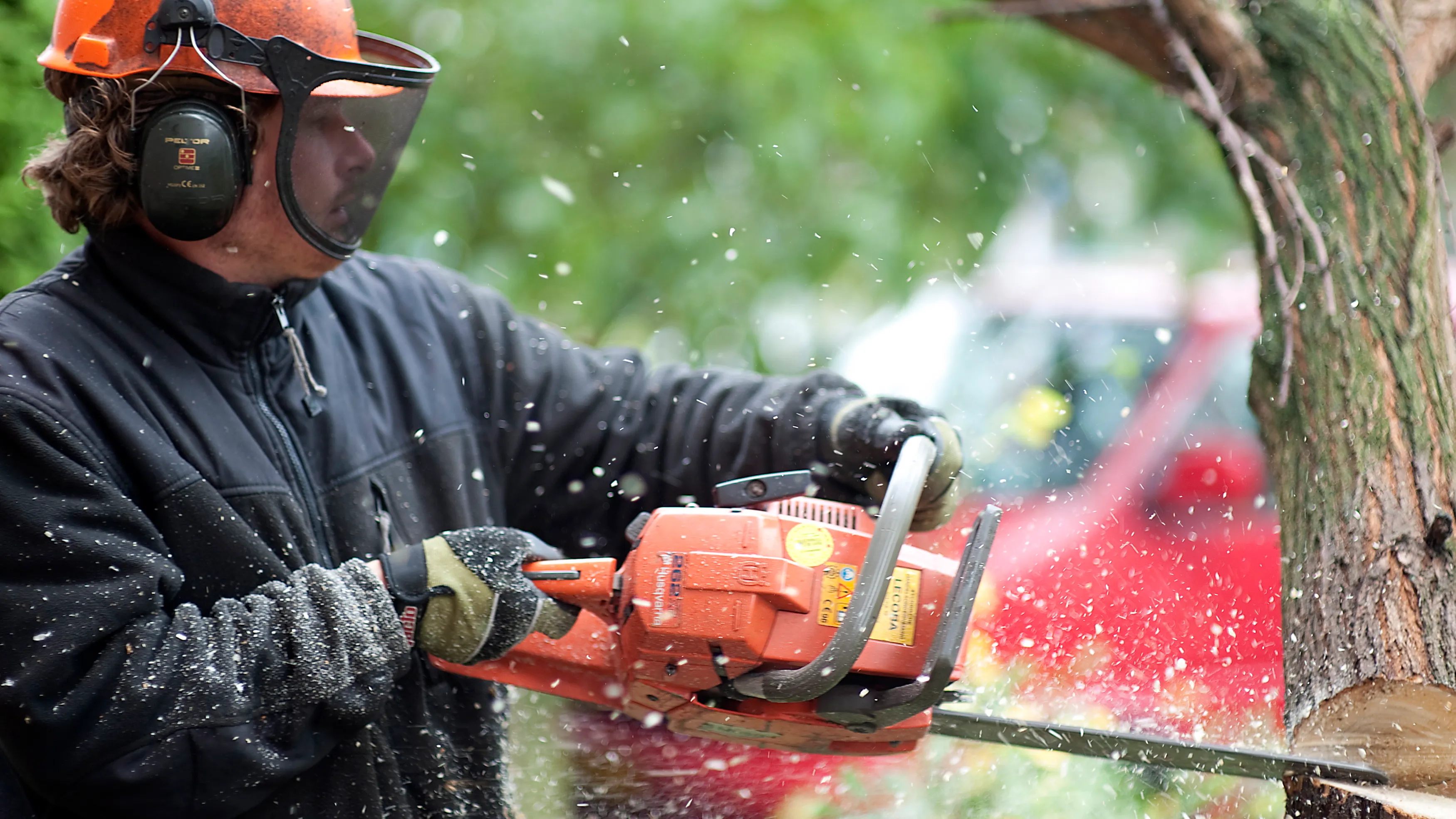 uyzlgzrpbno7hk7lt51tl4w1m hovenier