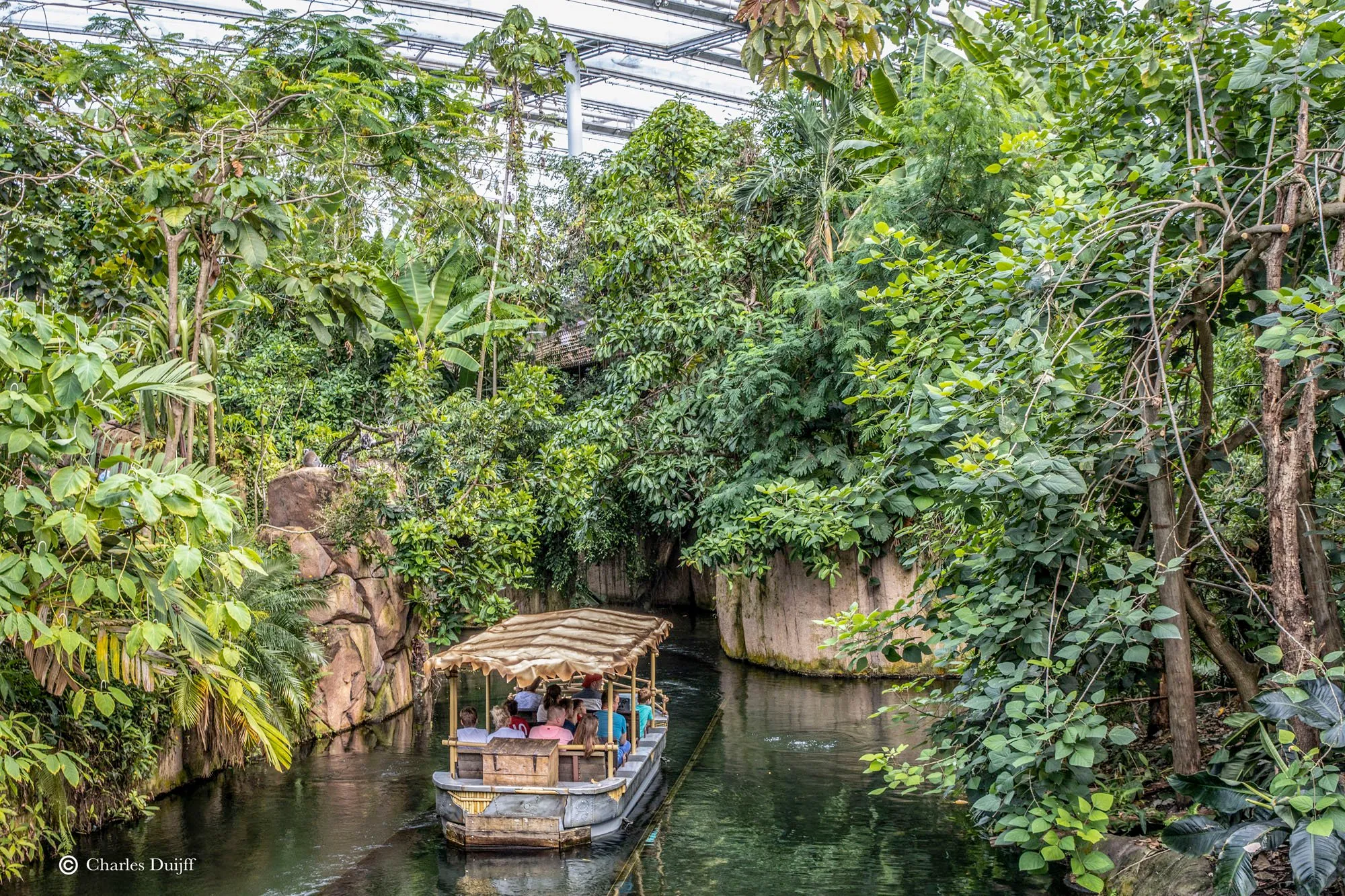varen door jungle