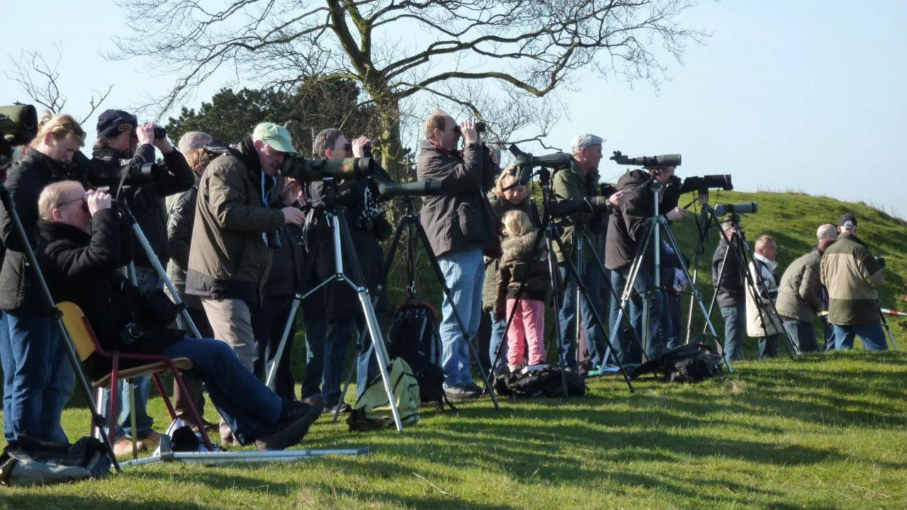vogelaarsinundatieweekendevdp banner