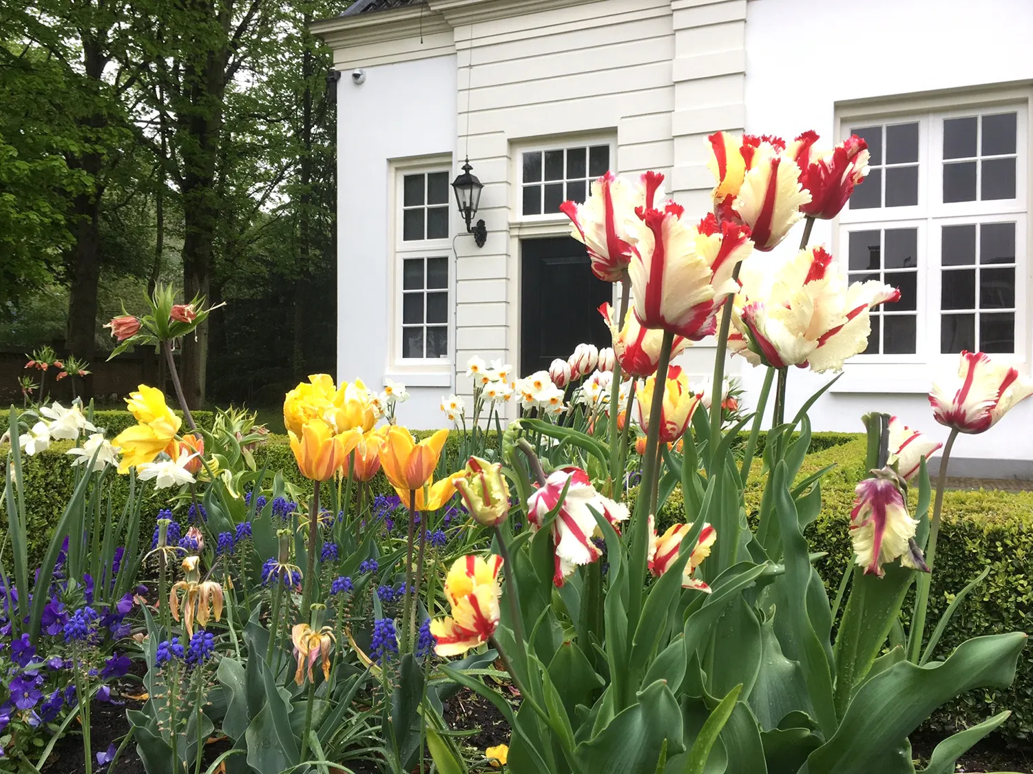 voorjaar op beeckestijn foto eveline blok natuurmonumenten
