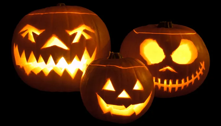 william warby halloween new