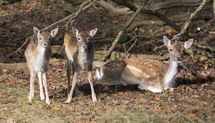wim meijer fotografie 5i5a3274 banner