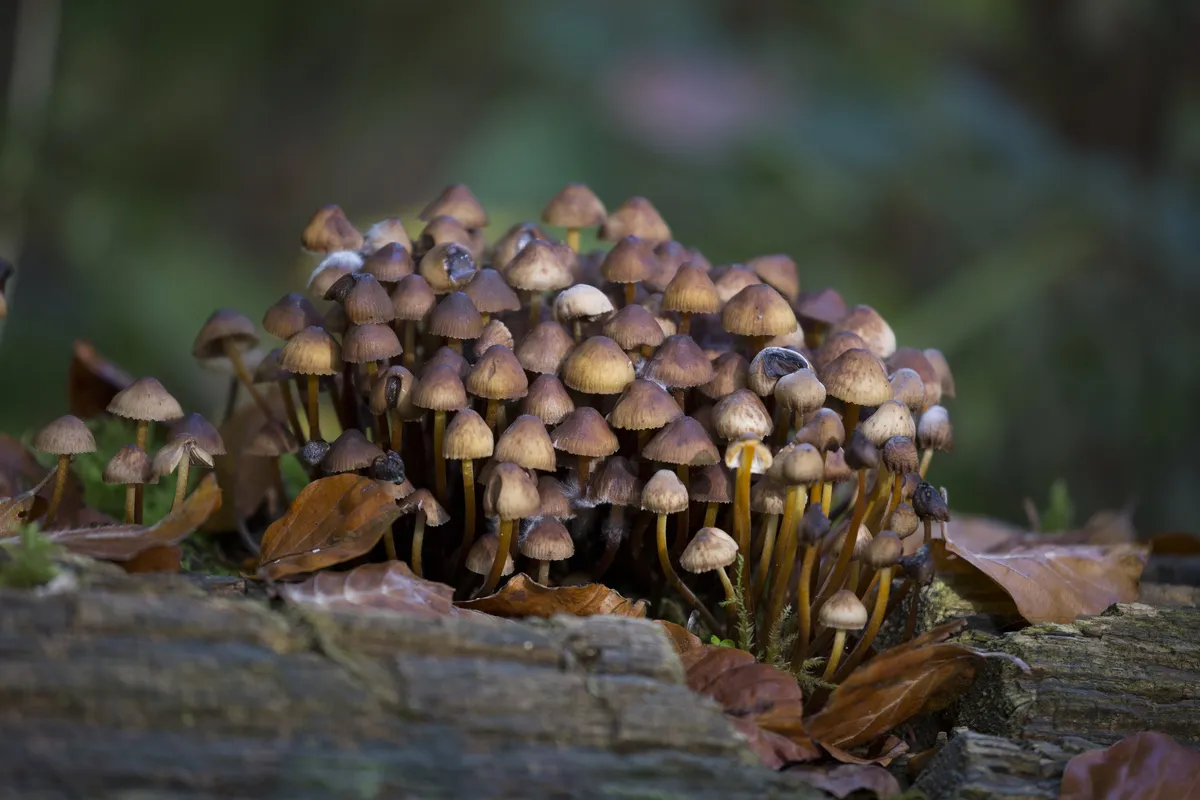 wim meijer fotografie 5i5a3666