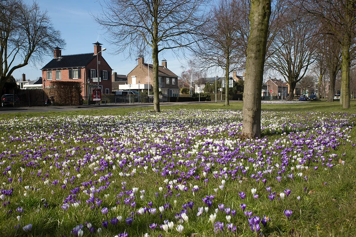 wim meijer fotografie 5i5a6432