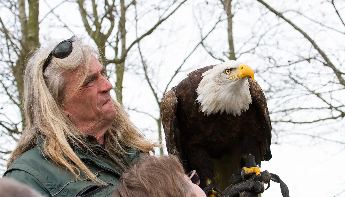 wim meijer fotografie banner roofvogelshow