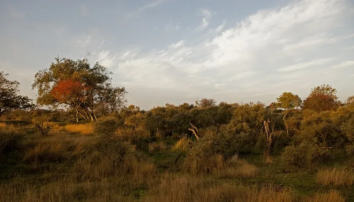 wim meijer fotografie herfst banner gu