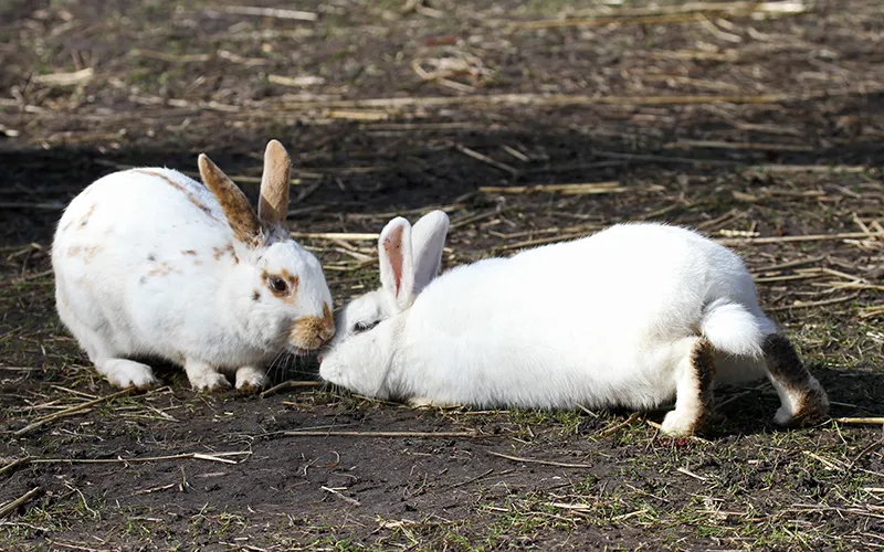 wim meijer fotografie img 0179