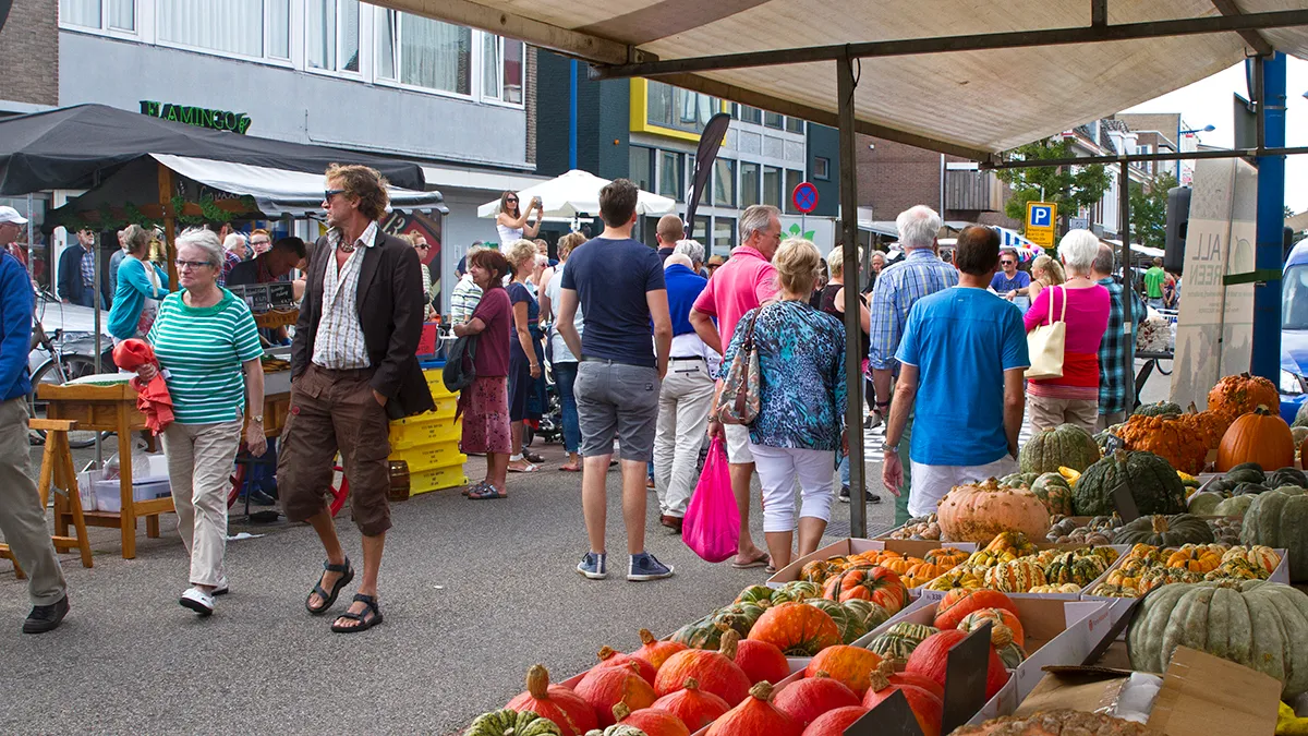 wim meijer fotografie img 1319 banner