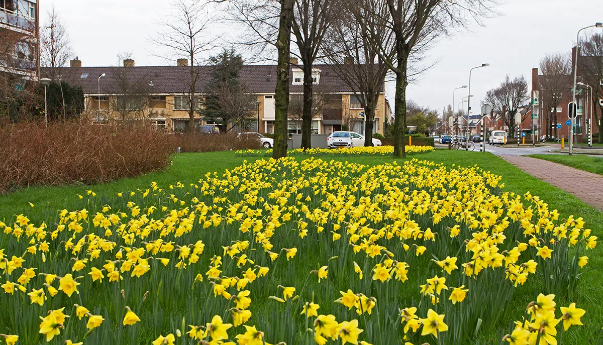 wim meijer fotografie img 7462