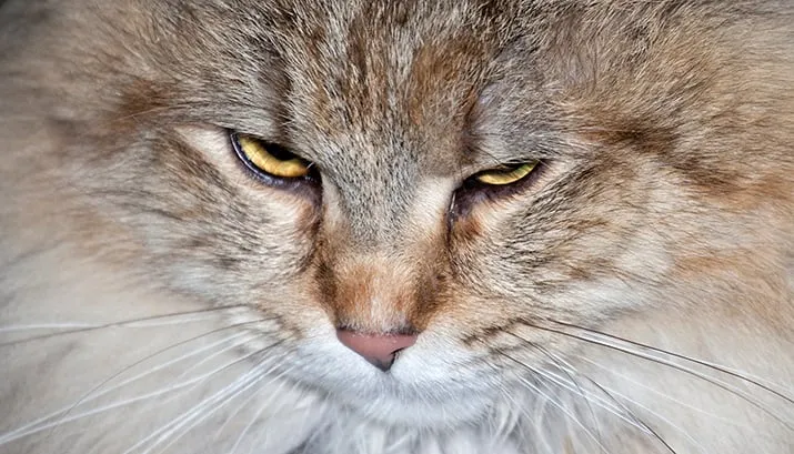 wim meijer fotografie mg 0560